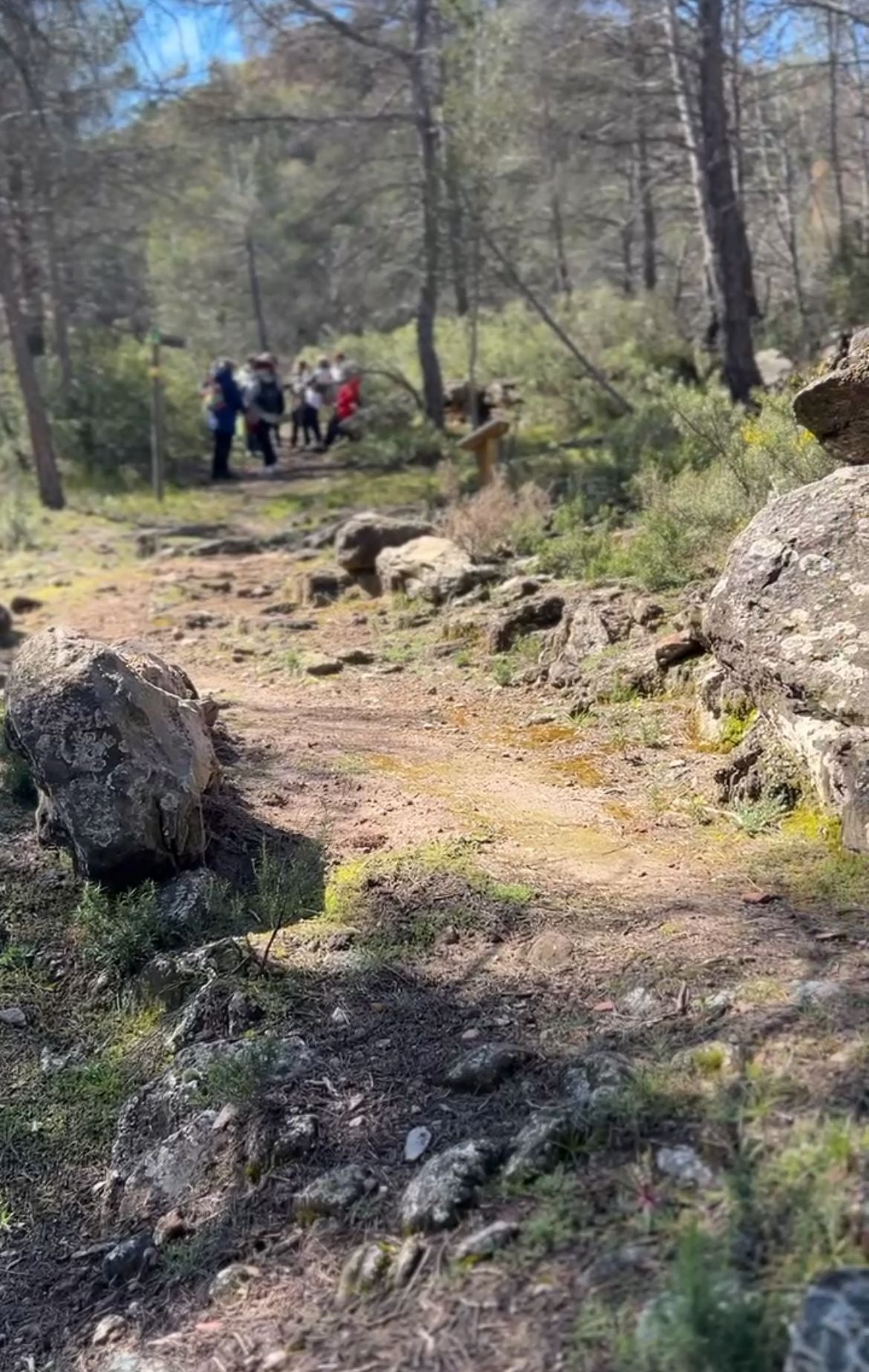 Retiro de acuarela al aire libre - 12 al 15 de Marzo