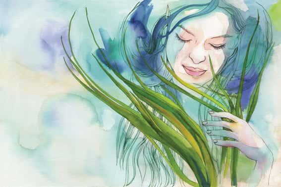 Lámina Posidonia y el Mar - Posidonia
